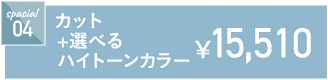 カット+選べるハイトーンカラー