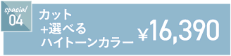 カット+選べるハイトーンカラー