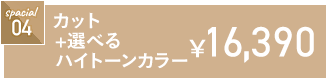 カット+選べるハイトーンカラー