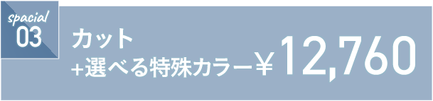 カット+選べる特殊カラー