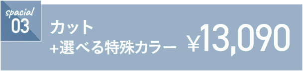 カット+選べる特殊カラー