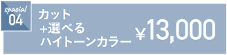 カット+選べるハイトーンカラー