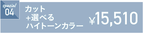 カット+選べるハイトーンカラー