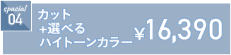 カット+選べるハイトーンカラー