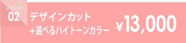 長持ちカット+選べるハイトーンカラー