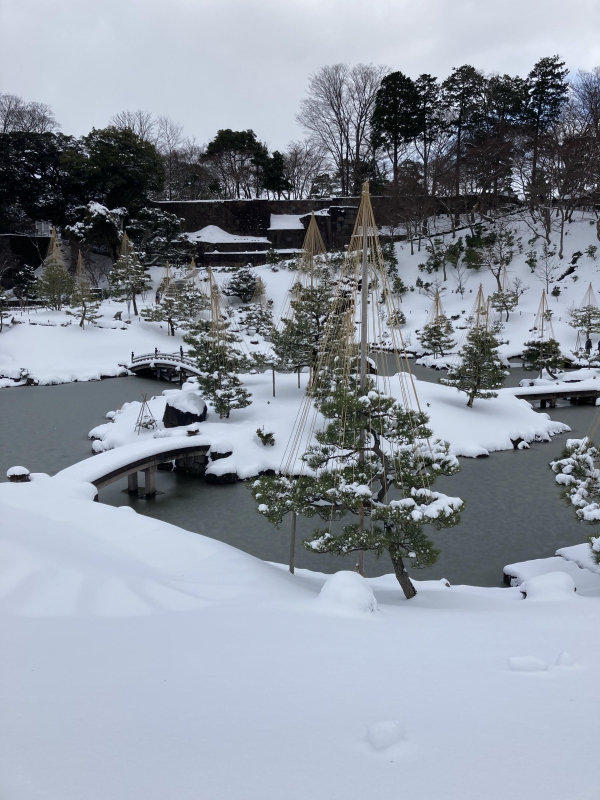 石川県
兼六園の雪化粧です。