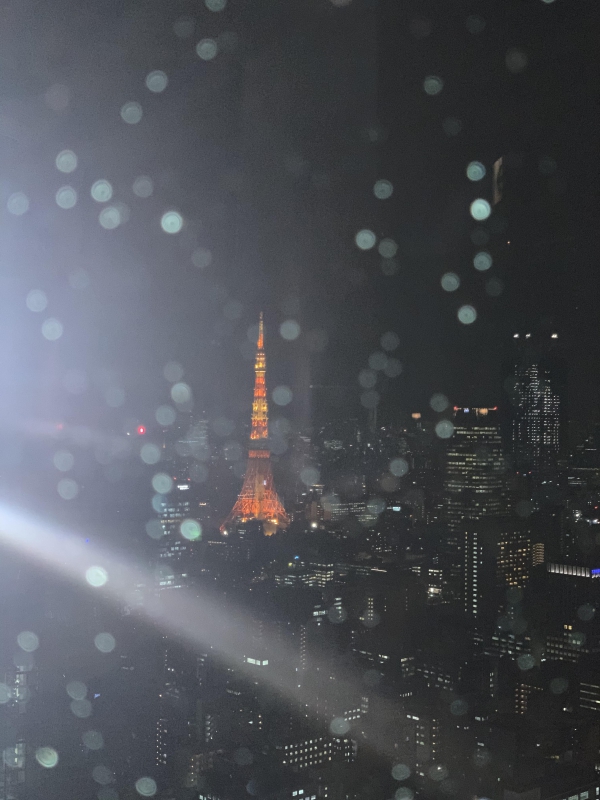雨の日の東京タワー、素敵です！